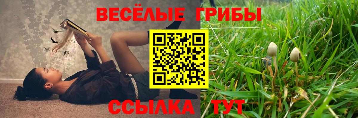 Галлюциногенные грибы мицелий  Вход с VPN  Тимашёвск  Галлюциногенные грибы Psilocybe 